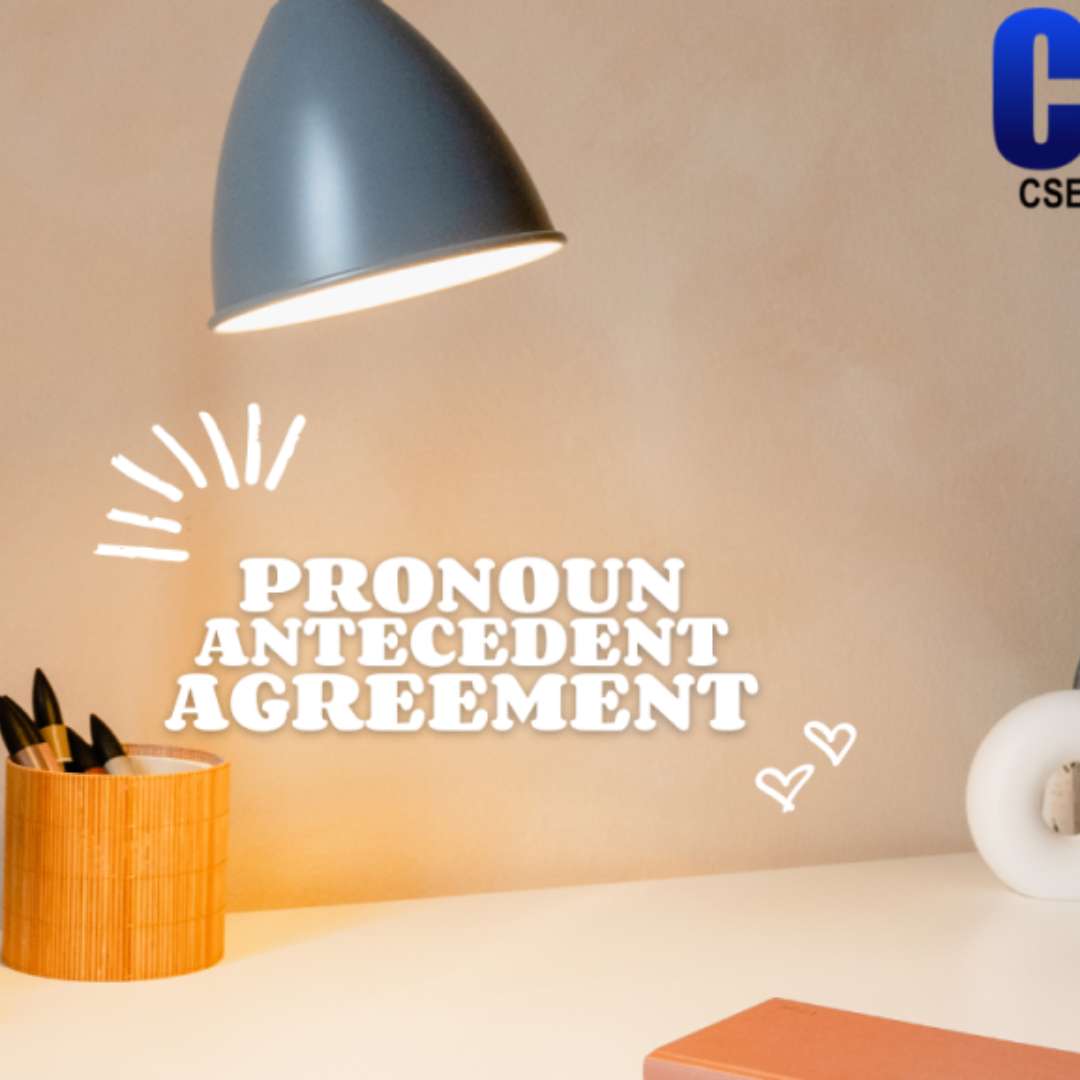 Pronoun Antecedent Agreement